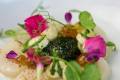 chef-rob-6